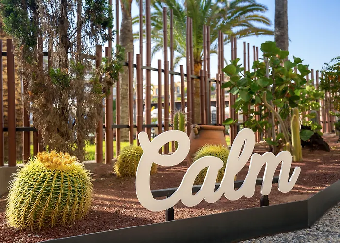 酒店 科拉莱霍湾巴瑟罗度假酒店-仅限成人 科拉雷侯